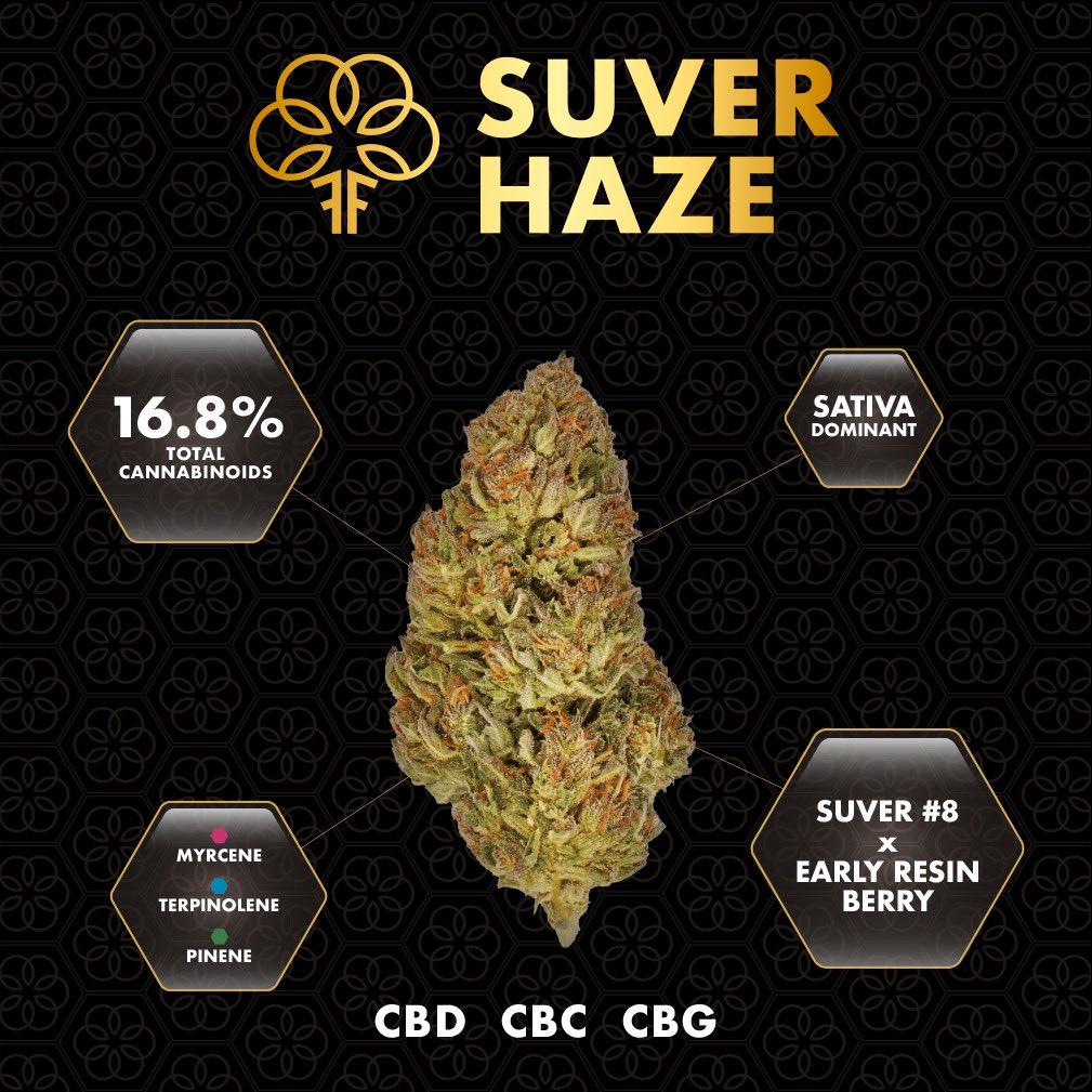 treefortfarms's tweet photo. 𝗧𝗿𝗲𝗲 𝗙𝗼𝗿𝘁𝘀 𝗦𝘂𝘃𝗲𝗿 𝗛𝗮𝘇𝗲 ⁣
⁣https://t.co/905uBikHYp
⁣𝘾𝙤𝙢𝙚 𝙨𝙥𝙚𝙣𝙙 𝙨𝙤𝙢𝙚 𝙩𝙞𝙢𝙚 𝙖𝙩 𝙩𝙝𝙚 𝙏𝙧𝙚𝙚 𝙁𝙤𝙧𝙩 !⁣
⁣#newdrop #freshflower #cbd #cbg #cbc #potent #cbdflower #hempflower #hemp #cbdwellness #cannabis #wellness #treefortfarms https://t.co/4b0VAdKlxm