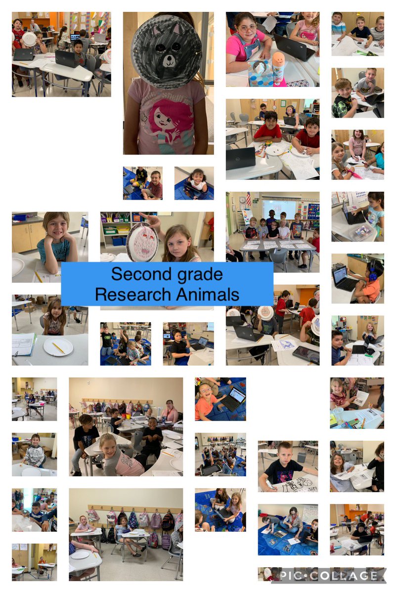 HudsonPrimary's tweet photo. March’s Cambridge Global Perspective Challenges https://t.co/MHw1wQXomz
