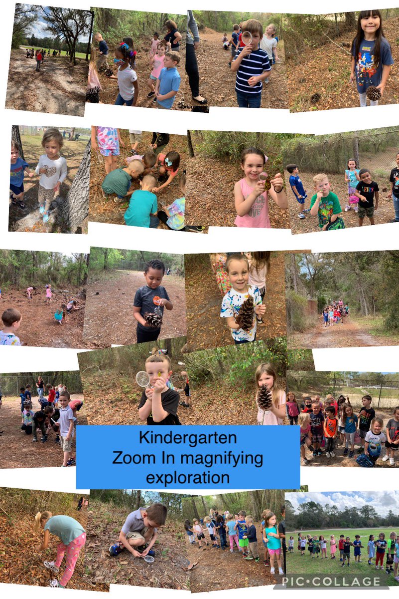 HudsonPrimary's tweet photo. March’s Cambridge Global Perspective Challenges https://t.co/MHw1wQXomz