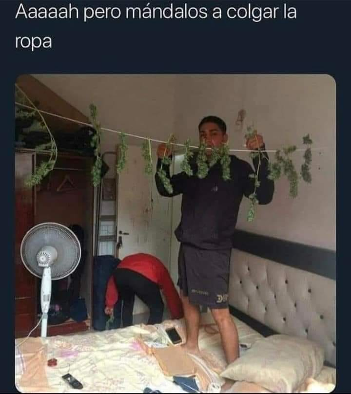 psicodelico05's tweet photo. jajajaj me reí fuerte ! #Volados https://t.co/n5TP2cbczU