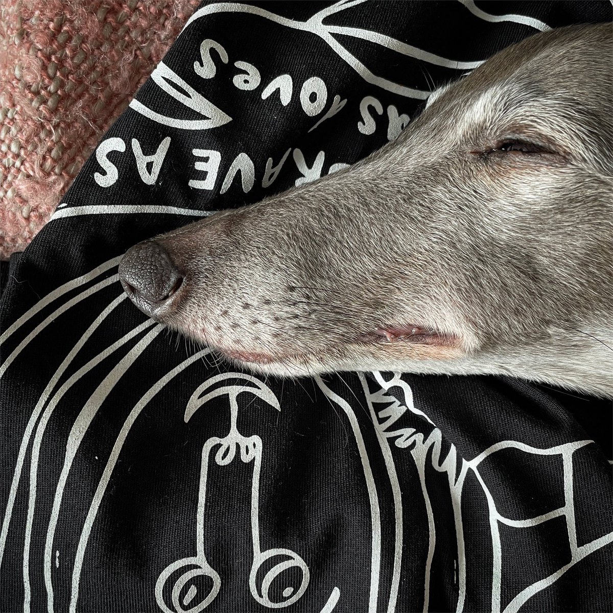 Our T-shirts happen to also be very comfy pillows for sleepy whippets. Should you need ANY more reasons to buy one. 

*Apart from the, all profits going to Ukrainian refugees, organic cotton, designed by mentored young adults with disabilities &amp; tree planted every order…. Thing.