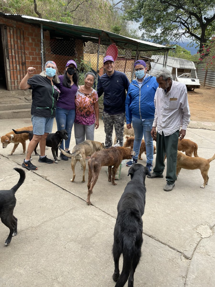 soycarlyana's tweet photo. LOS PERRITOS MERECEN MÁS!🐶
Recorrimos distintos refugios de animales en Caracas con la intención de llevar una pata amiga a nuestros peludos más vulnerables.

Es URGENTE una legislación que los proteja y acompañe. 

Para @JCambiemosMC es prioridad el bienestar de los animales. https://t.co/op6tHhxsOx