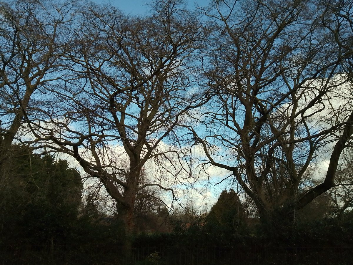phil0073's tweet photo. #TreesTogether
#PhilOnaBike https://t.co/19YYThsaXg