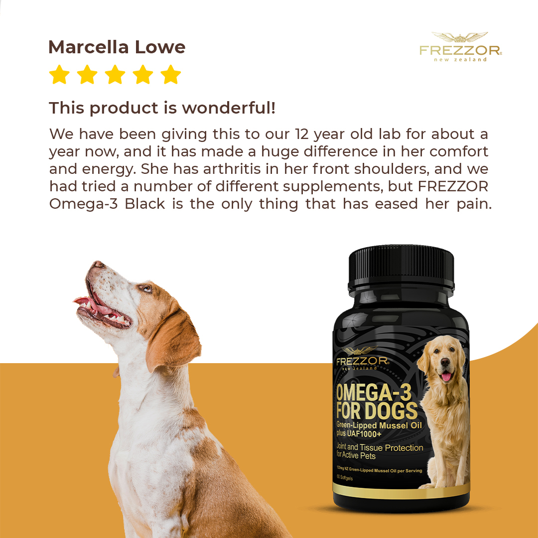 FREZZOR's tweet photo. Your pet’s health is a vital part of your day-to-day life. FREZZOR Omega-3 for Dogs has been helping aging dogs remain mobile and youthful for years. But don’t take our word – look what our customers are saying!

#FREZZOR #NewZealand #NutritionWithIntegrity  #HealthAndWellness https://t.co/9ysLEvouRT