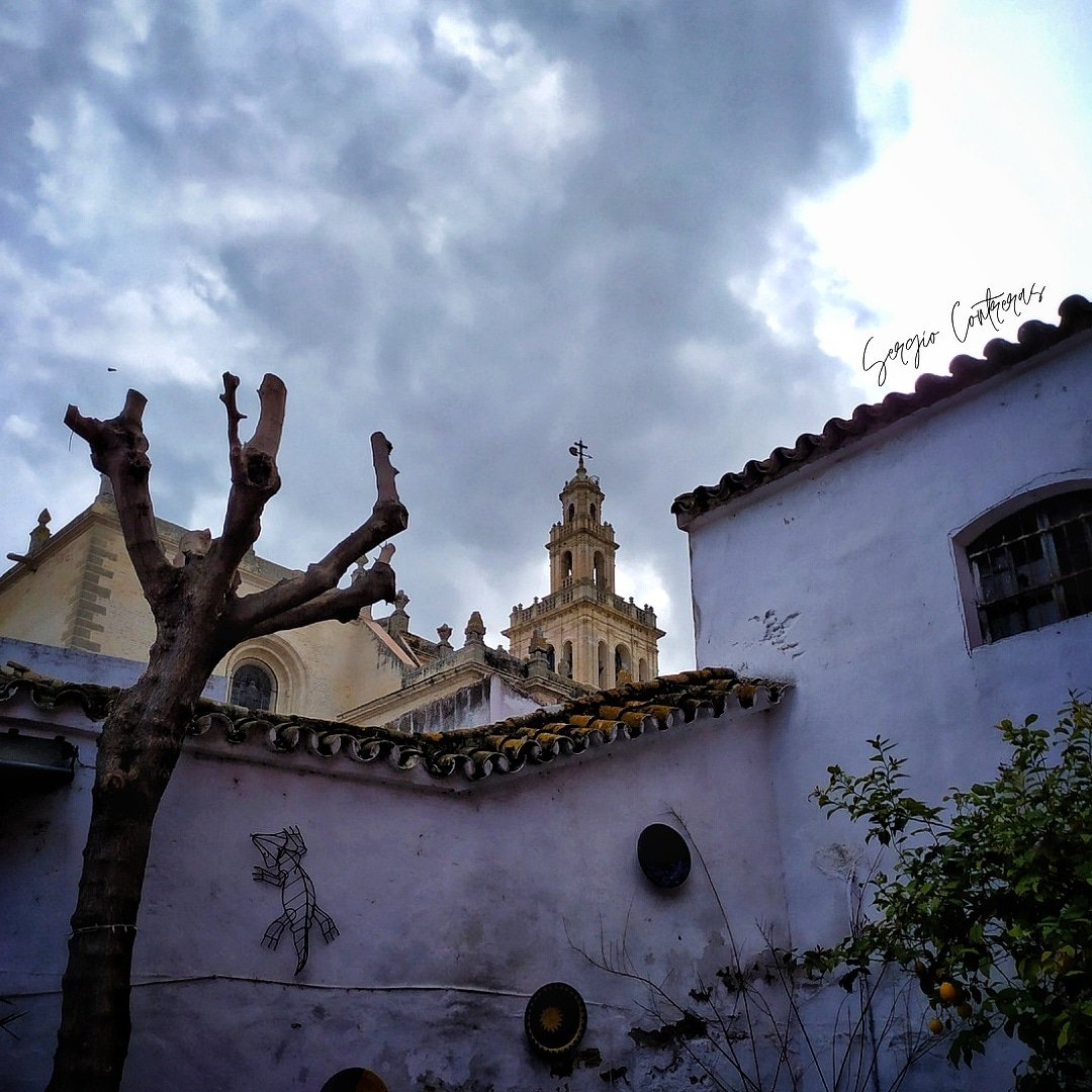 SergioCon34's tweet photo. Rincones con encanto y rodeado de muy buenas personas. Buenas noches 💚❤💜🐜 #Lebrija #teteria #reencuentro #desvirtualizar https://t.co/AcEOAFM53E