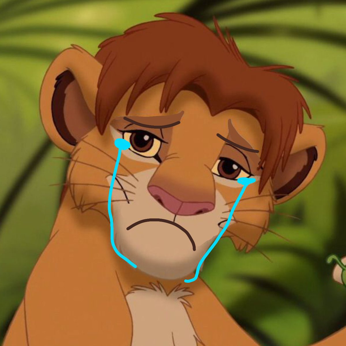 princeofpranks1's tweet photo. this guy has my hair why is he crying! u have andy swag dont cry #princeofpranks #andystyle #andyswag #andylarkin #lionandy #exceptnotascoolcausehescrying https://t.co/dyJcW5wZs3