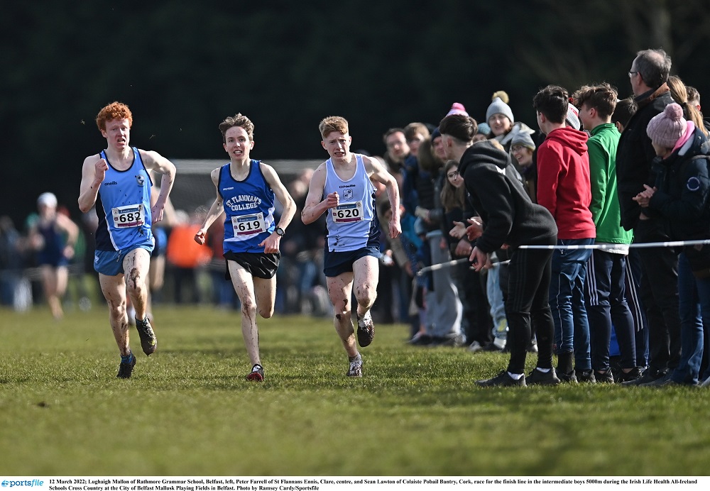 irishathletics's tweet photo. ✨EUROPEAN CROSS COUNTRY STARS SHINE AT ALL IRELAND SCHOOLS✨

It was a thrilling day of cross country competition today at the Irish Life Health All Ireland Schools Championships in Belfast (March 12th)⤵️

https://t.co/v08ujzXIaw https://t.co/wHEPu9nkQF