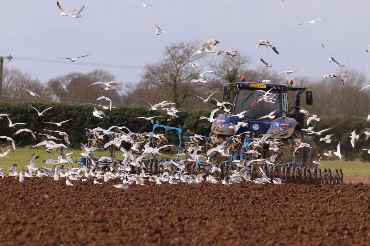 Charlotte Watlow tweet media