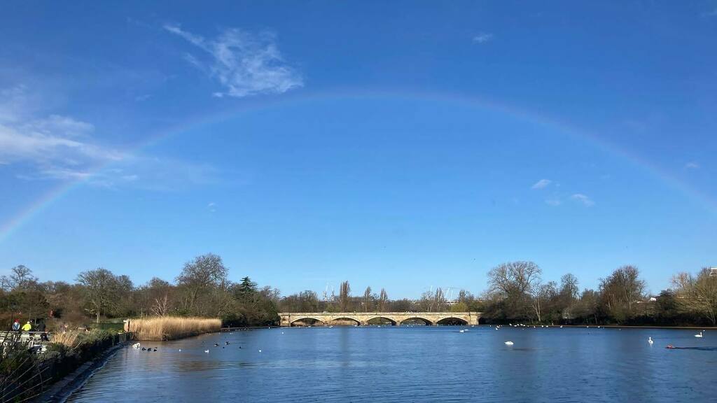 Di9it8's tweet photo. Amazing morning swimming today under a #Rainbow Not only were there 2 pots of gold but also a #fabulus of #unicorns. Oh and the cup was won by Natasha
Water temp 8.4°C warming quickly @theroyalparks #SerpsSwimClub #SaturdayRaces #LondonSky #HeartMindSp… https://t.co/dAA4YAxLmx https://t.co/gGqGeBZlgz