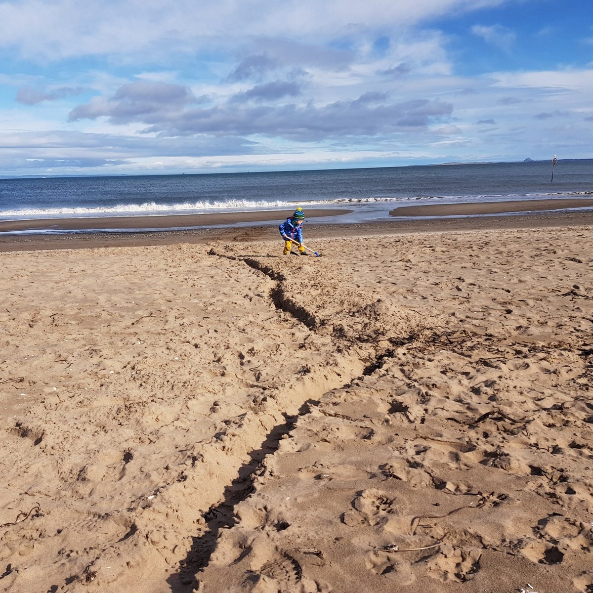 AbiJaneReynolds's tweet image. If he showed the same commitment to potty training as he does to digging, our floors would be a lot less sticky.
#hiho
#justkeepdigging