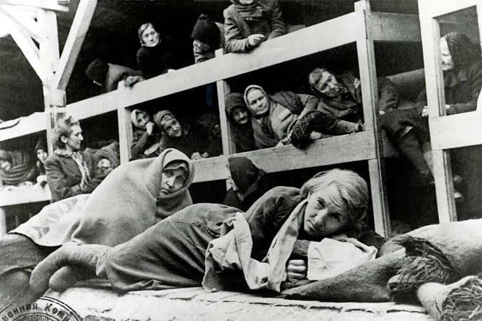 tarihsanatmit's tweet photo. “Eğer bir tanrı varsa, onu affetmem için bana yalvarmak zorunda.”

 | Nazi kampında yahudi bir kadının duvara tırnaklarıyla kazıdığı cümle. https://t.co/a4NvFOL87F