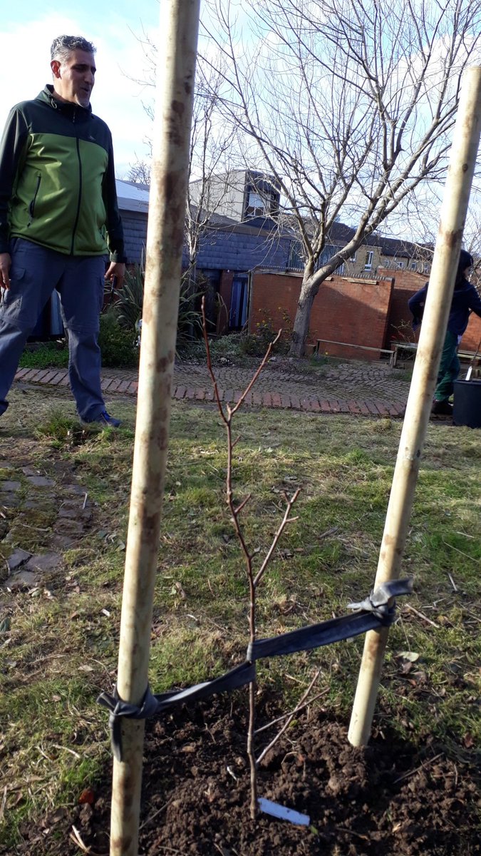 Let's Grow Together tweet media