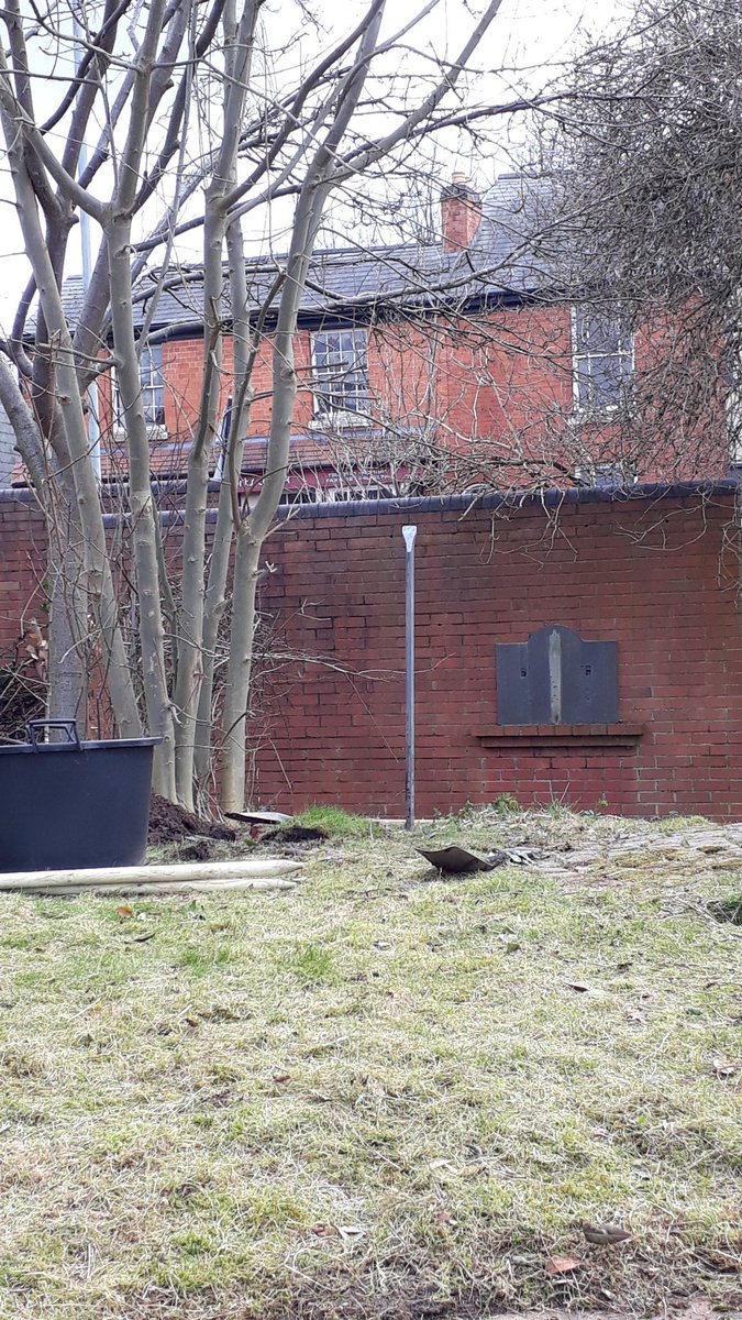 Let's Grow Together tweet media