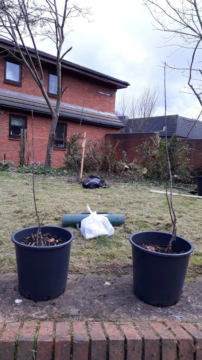 Let's Grow Together tweet media