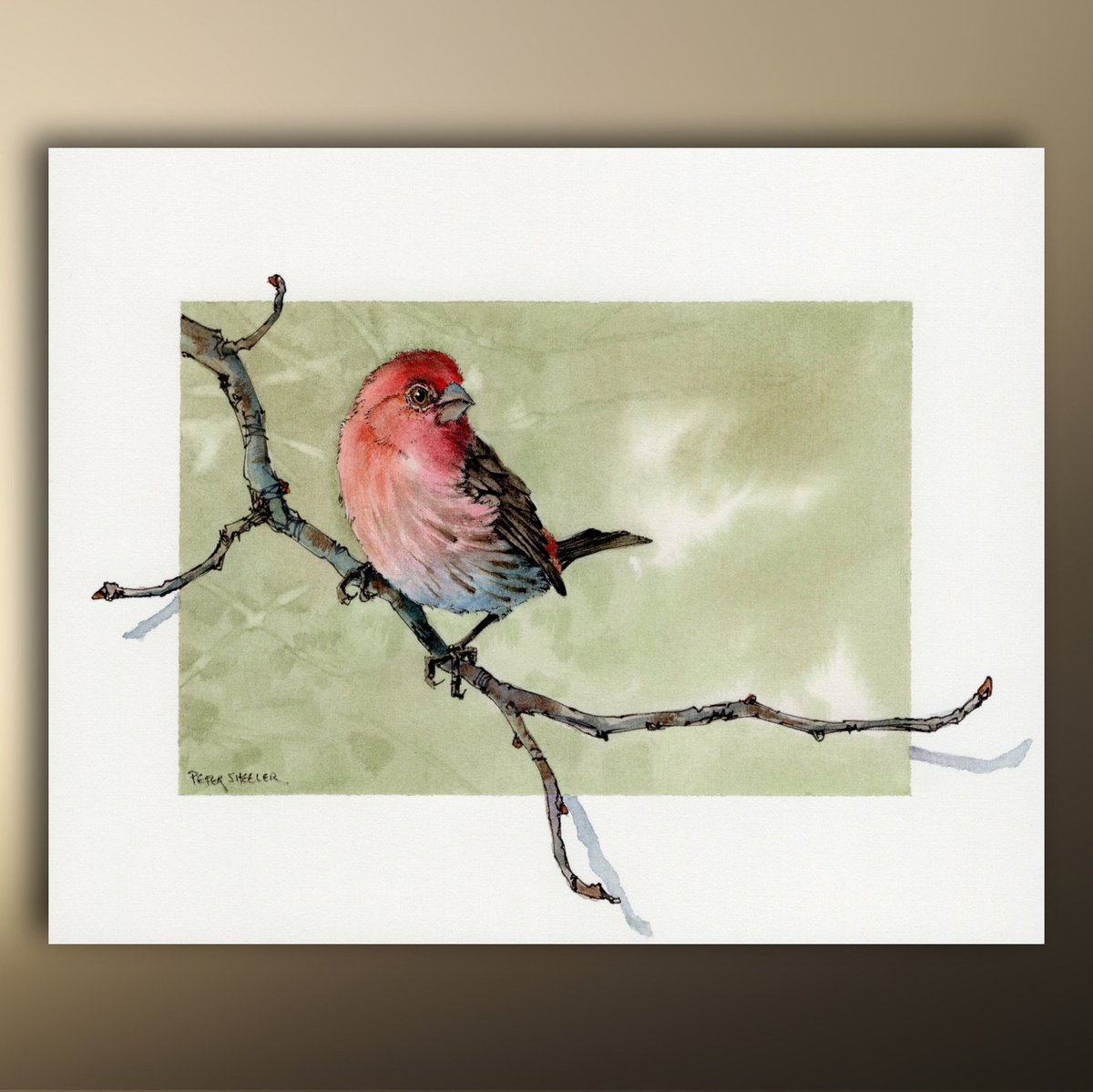 sheelerart's tweet photo. New Etsy Item. This Handsome House Finch Watercolor Print and Art Greeting Card instant download , #Songbird, #wildlife, #natureart #finch #bird #birdart #FineArt, Sheelerart https://t.co/OtDXqKfEdX https://t.co/GUGy5TDwDI