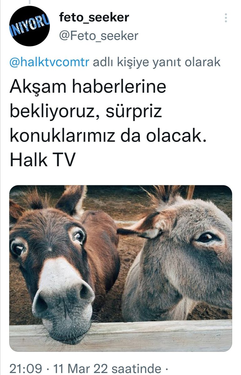 RemziCansu7's tweet photo. Herkes kendine yakışanı yapıyor yazık. Yanıltıcı reklam marka değerine zarar vermeden dava açılıp yüklü bir tazminat alınabilir ne de olsa arkalarında fon var rahatça öderler alınan para da şehit ailelerine dağıtılır şamar iki defa vurulmuş olur. #Hedef2023 #DevletEnsenizde https://t.co/ImioMySI9Q