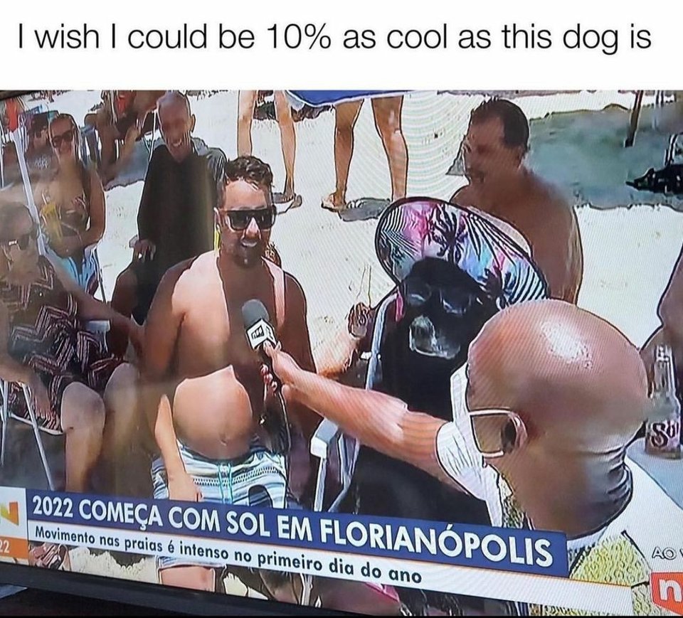 WholesomeMemes (@wholesomememe) on Twitter photo 