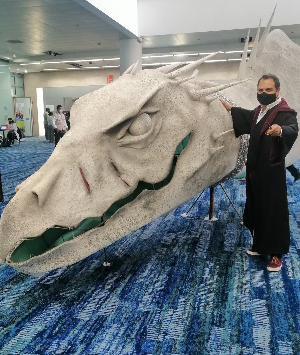 VICTORUGARTE1's tweet photo. Dragón .
#WizardCon
#EventoCdmx https://t.co/yrW3kC6Bj5