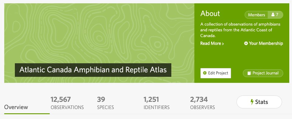 jr4science's tweet photo. Do you live in #AtlanticCanada? Are you on @iNaturalist or planning to join this summer?

Pls take lots of photos of amphibians and reptiles you observe &amp; join this project for the region (https://t.co/oyrvwyW6pK). It will be a big help to local research and conservation efforts! https://t.co/MAYbsxVpVI