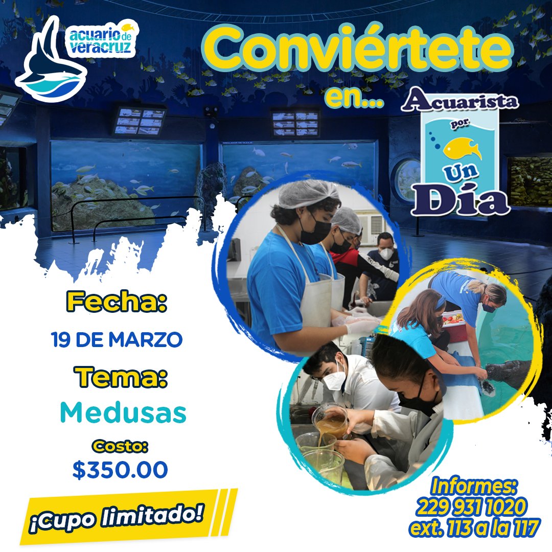 ¡Sé parte del equipo del Acuario por un día!
Este sábado 19 de Marzo ¡podrás ser parte del equipo del Acuario! 
Si estás cursando Secundaria ó Bachillerato puedes inscribirte, esta actividad se realiza de 9am a 2pm.