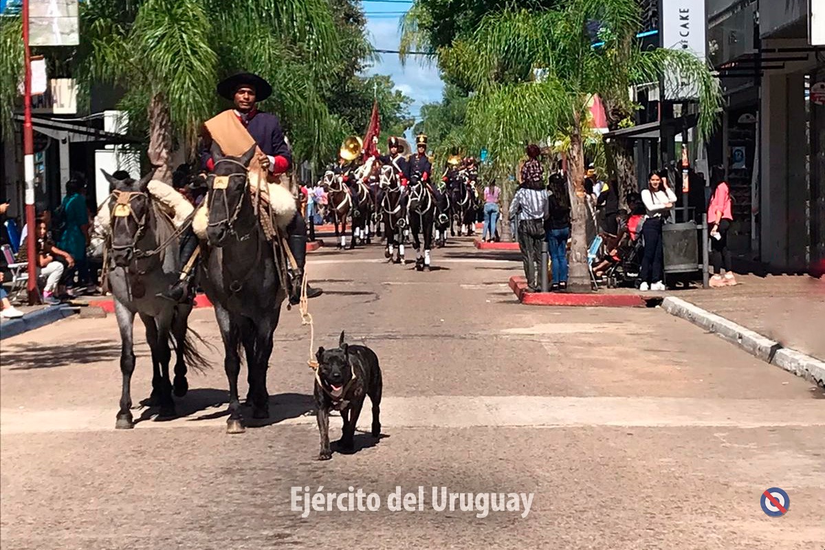 EjercitoUy's tweet photo. El Ejército Nacional participa de la 35ª edición de la #PatriaGaucha en #Tacuarembó. Representado por Jinetes, Charanga del #Blandengues, cadetes de la @EscuelaMilitarUy, alumnos del @LiceoMilitarUy y alumnos del #CENAFRE. #LaFuerzadeTodos https://t.co/SdLLGPWElr