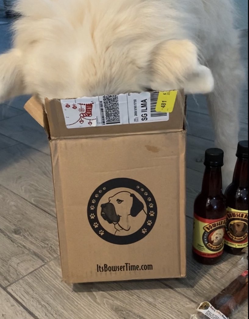 Do you let your pups open their own packages? #bowserbeer #dogtreats #dogbeer