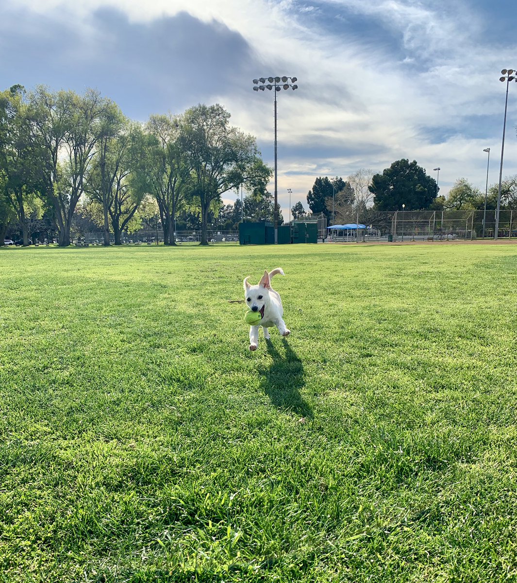 𝕼𝖚𝖆𝖎𝖉 tweet media