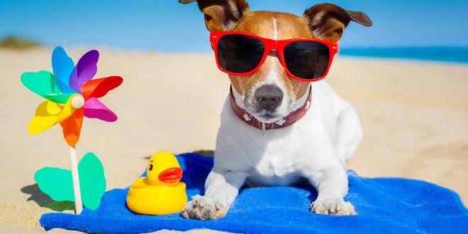 Go outside and get some sunshine on your skin. 😎
