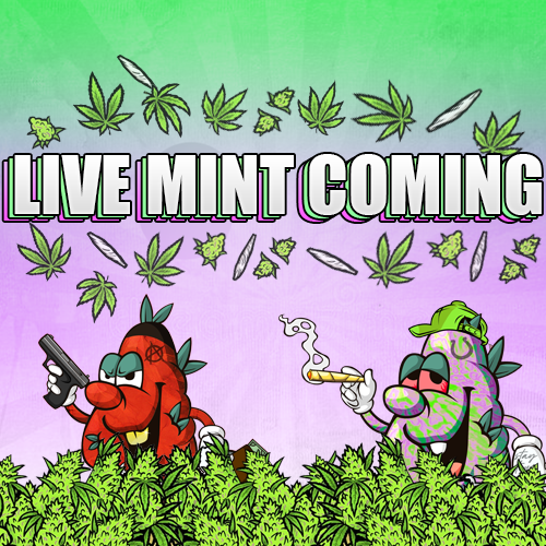 StoneyNFT | #1 Source for Cannabis tweet media