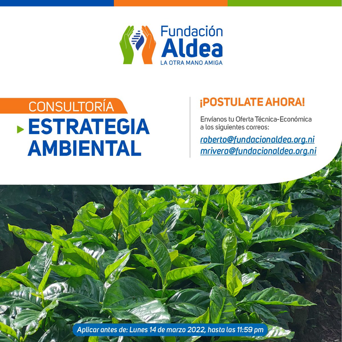 FundacionAldea's tweet photo. #Recordatorio Fundación Aldea abre convocatoria para Consultoría Estrategia Ambiental. 
.
📲 Descarga los TdR en el siguiente enlace: https://t.co/ia4jd14PvZ
.
👉🏼 Convocatoria cierra el lunes 14 de marzo 2022 https://t.co/gX9PfpUW8l