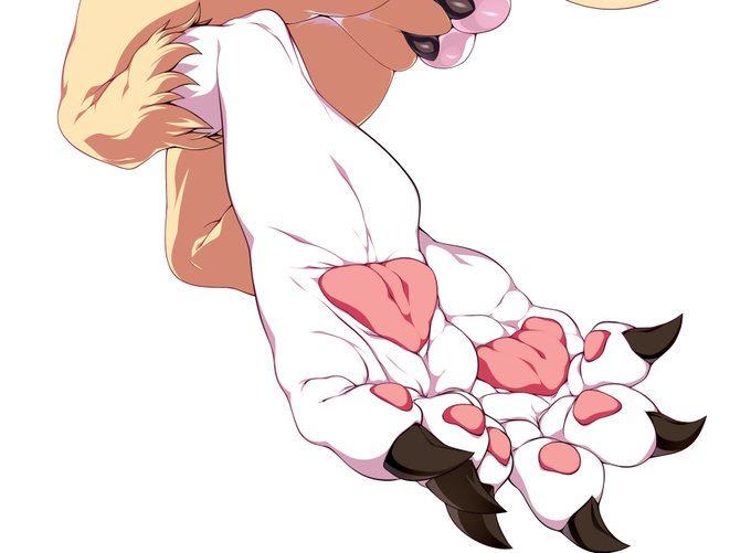 長いこと手付かずだったのも進めなきゃね 