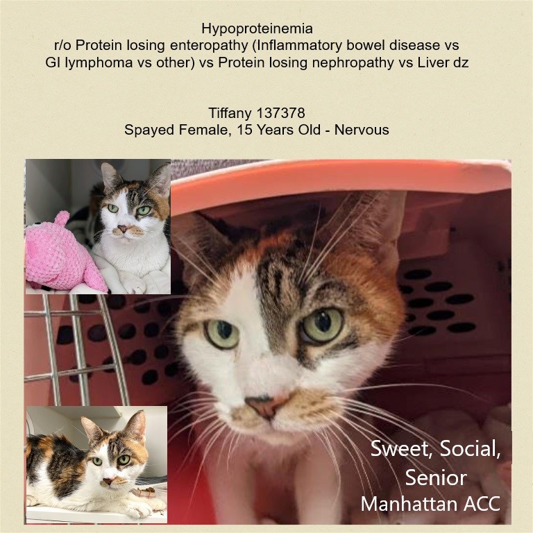 Renee' Martin tweet media