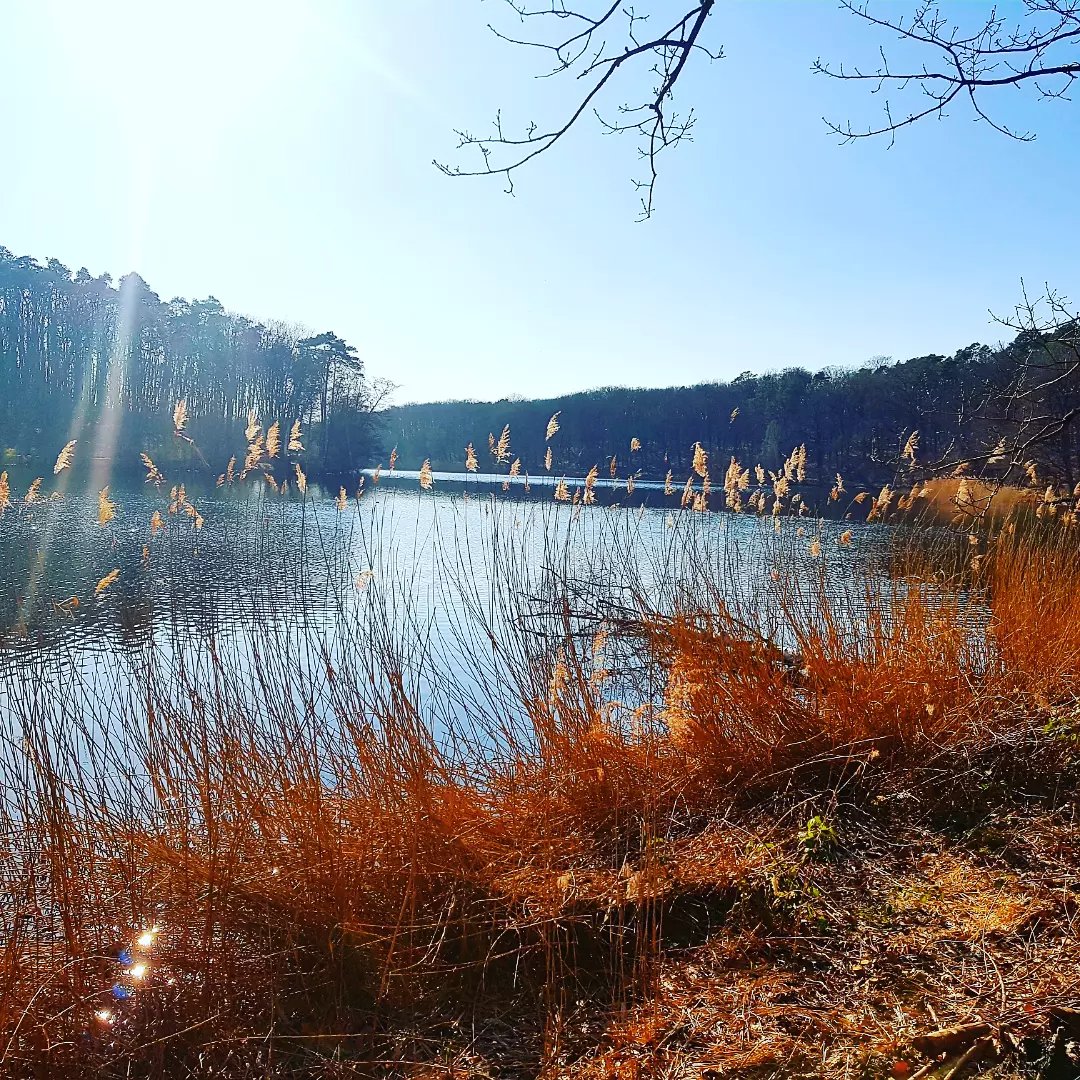 bikeygees's tweet photo. #onedayholiday 😎🚴♀️😍 #cyclingisfreedom 💙💛☮ #krafttanken 🏕🌿😎 #waitingforspring 🐥💜 #radfahrenhilft 💪🏾🚴♀️🤘🏼 https://t.co/5H35Z2LhVe