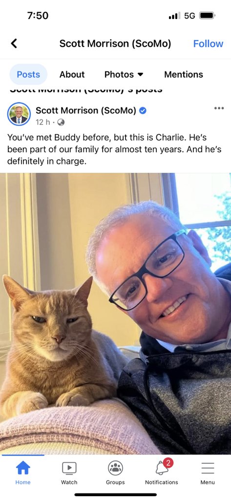 Dee Madigan tweet media