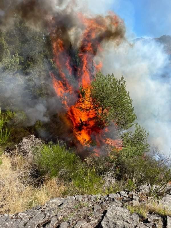 🚨 #AHORA Continúa el intenso trabajo de Bomberos para extinguir el incendio forestal que se registra en el sector baipás, frente al edificio Teletón en #Coyhaique