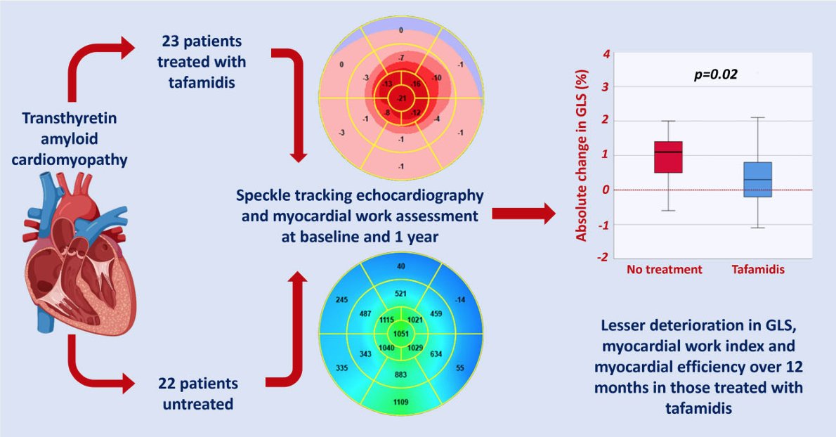 global longitudinal strain amyloidosis