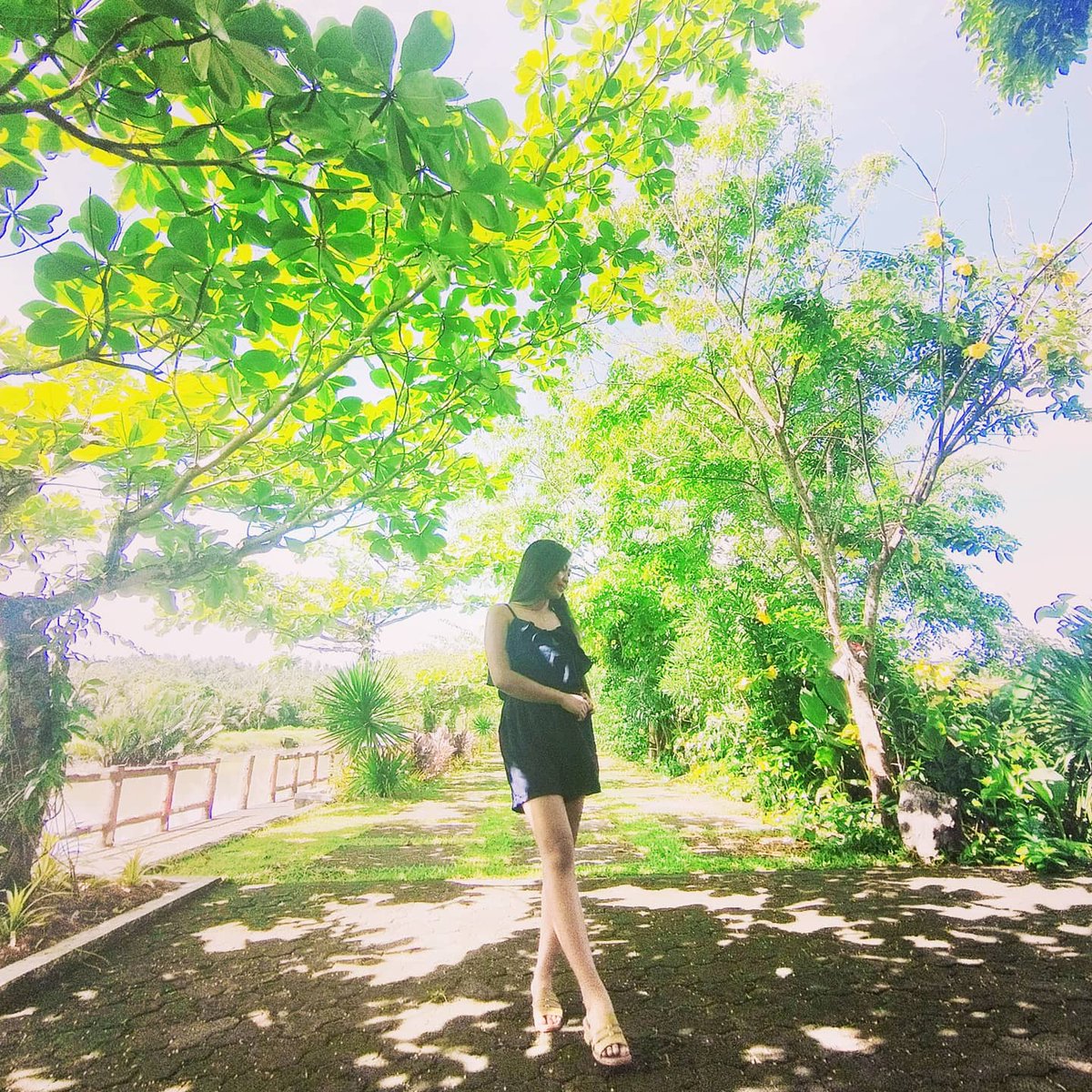 shiela157's tweet photo. 🌿 #peace #greenbeauty #photography #pose #click #naturephotography #photo #nature_perfection #natureshots #nature_brilliance #naturephoto #naturegram #photographer #PhotoOfTheDay https://t.co/QEBmIxbyit