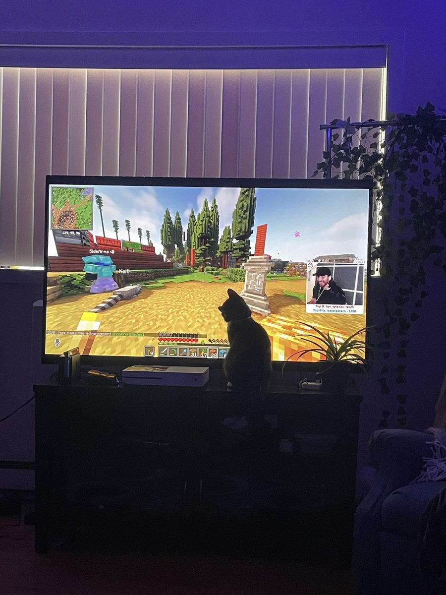 Hollylyn___'s tweet photo. @KYR_SP33DY kitty likes the junkyard and Keith https://t.co/g2cxx8DlOg