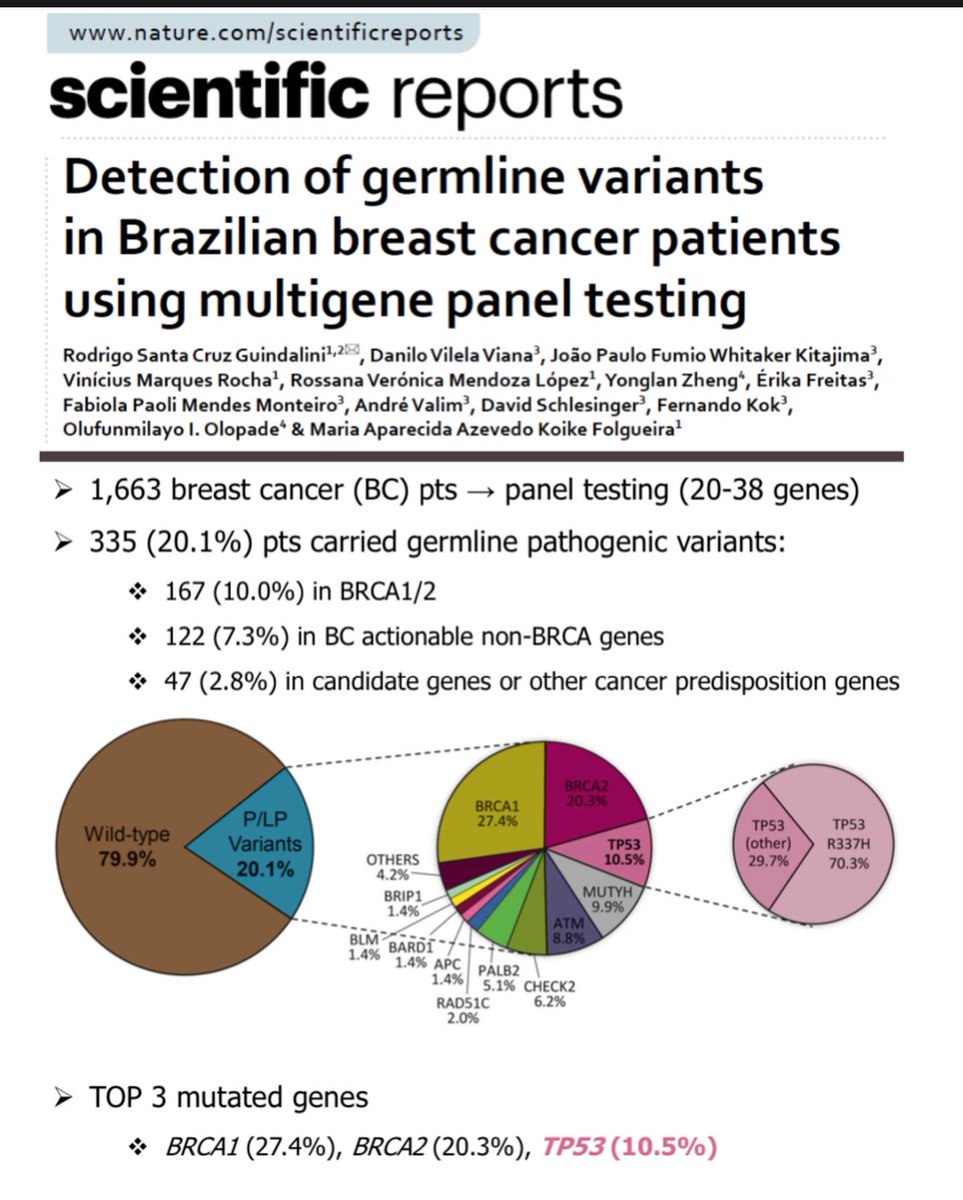 RGuindalini's tweet photo. Happy to share our data:
- TOP 3 mutated genes
 BRCA1(27.4%),BRCA2(20.3%),TP53(10.5%)

-TP53 R337H 
 corresponded to 70% of all TP53 variants
 detected in 1.6% of BC patients
 strongly associated with risk of BC - OR = 17.4 (95% CI: 9.4–32.1; p < 0.0001)
https://t.co/jTiKkyd9rJ https://t.co/chDxk6CEvu