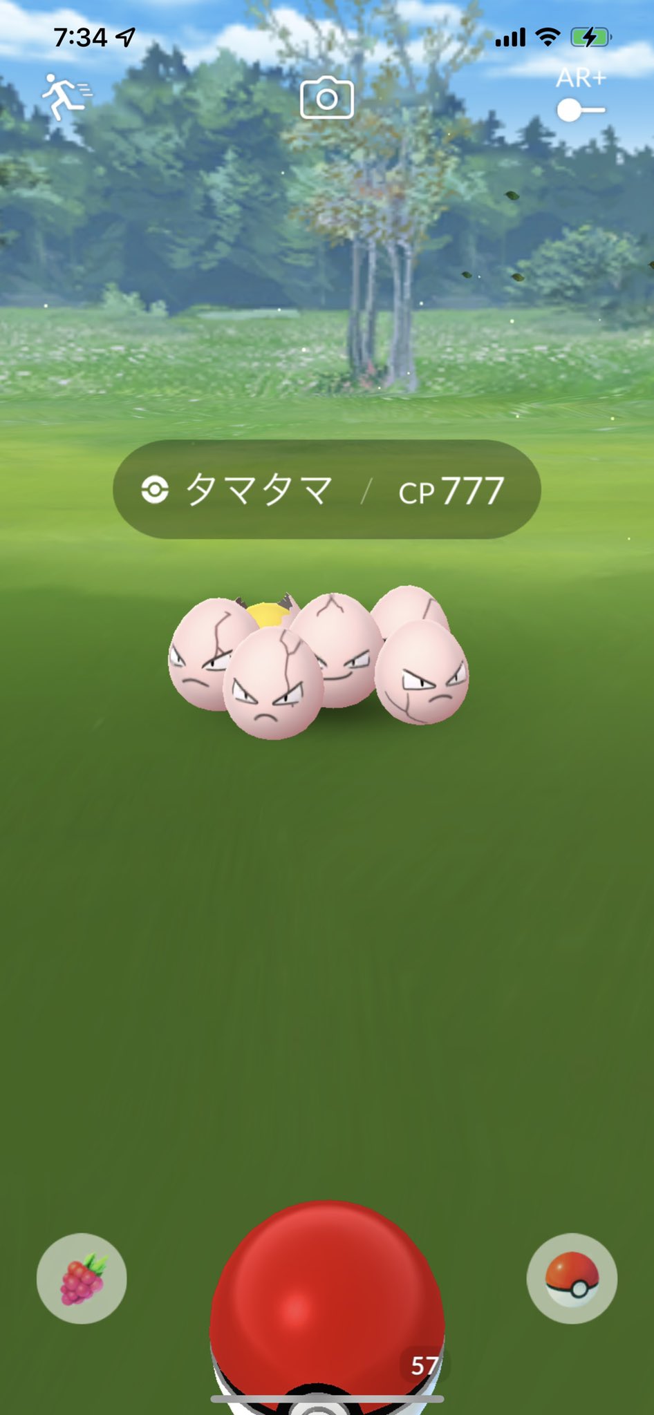 タマタマ Twitter Search Twitter