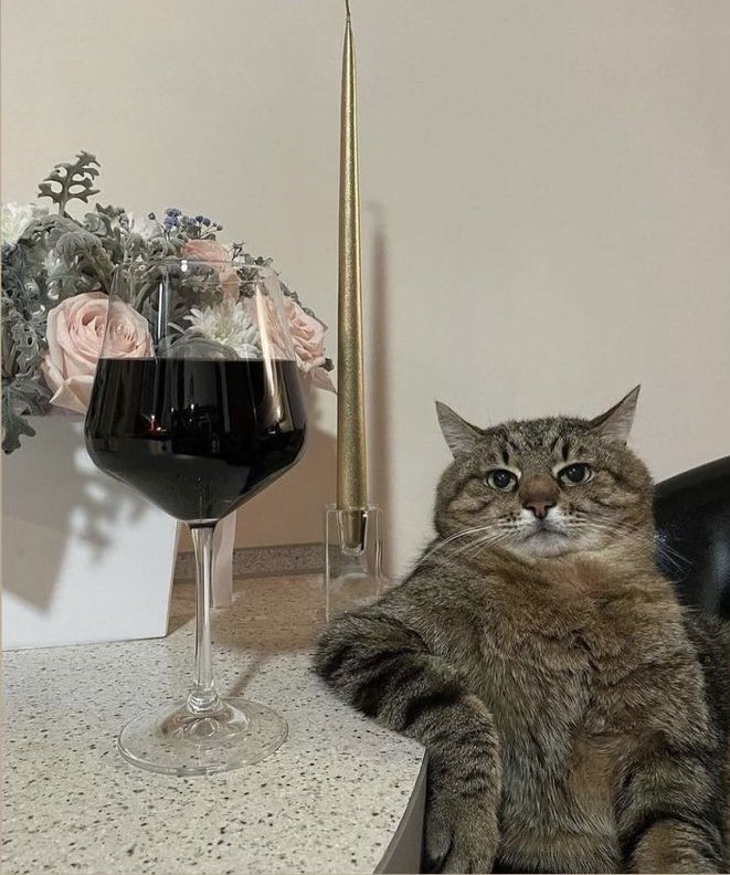 SailorNFT's tweet photo. Current mood https://t.co/JPx2v8835N