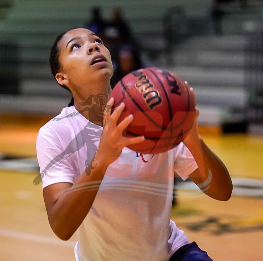 Sleeper Athletes Ladies Basketball tweet media