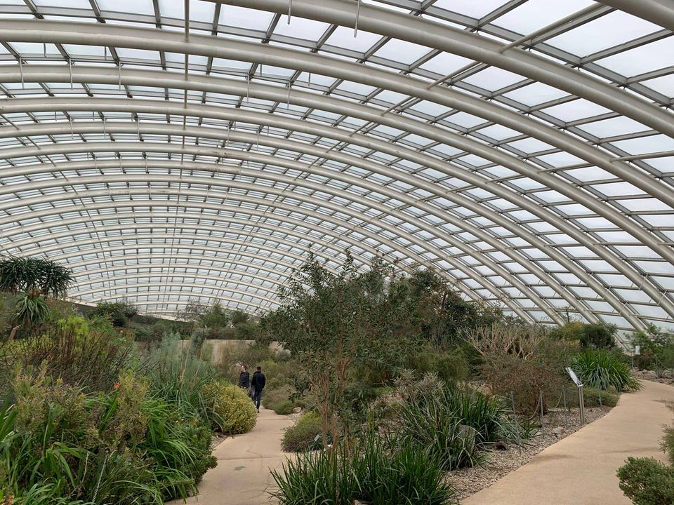 CampingCoedmor's tweet photo. Great #nodig course with @Steph_Hafferty  @walesbotanic with Jamie and Bronia @LleTyfu #NeverToOldToLearn.  Enjoyed a walk around #GarddCymru #GardenOfWales Glasshouse @SFarms_Gardens #GrowingWellTogether
#ResilientGreenSpaces #localfood https://t.co/j7qAcvuhXi