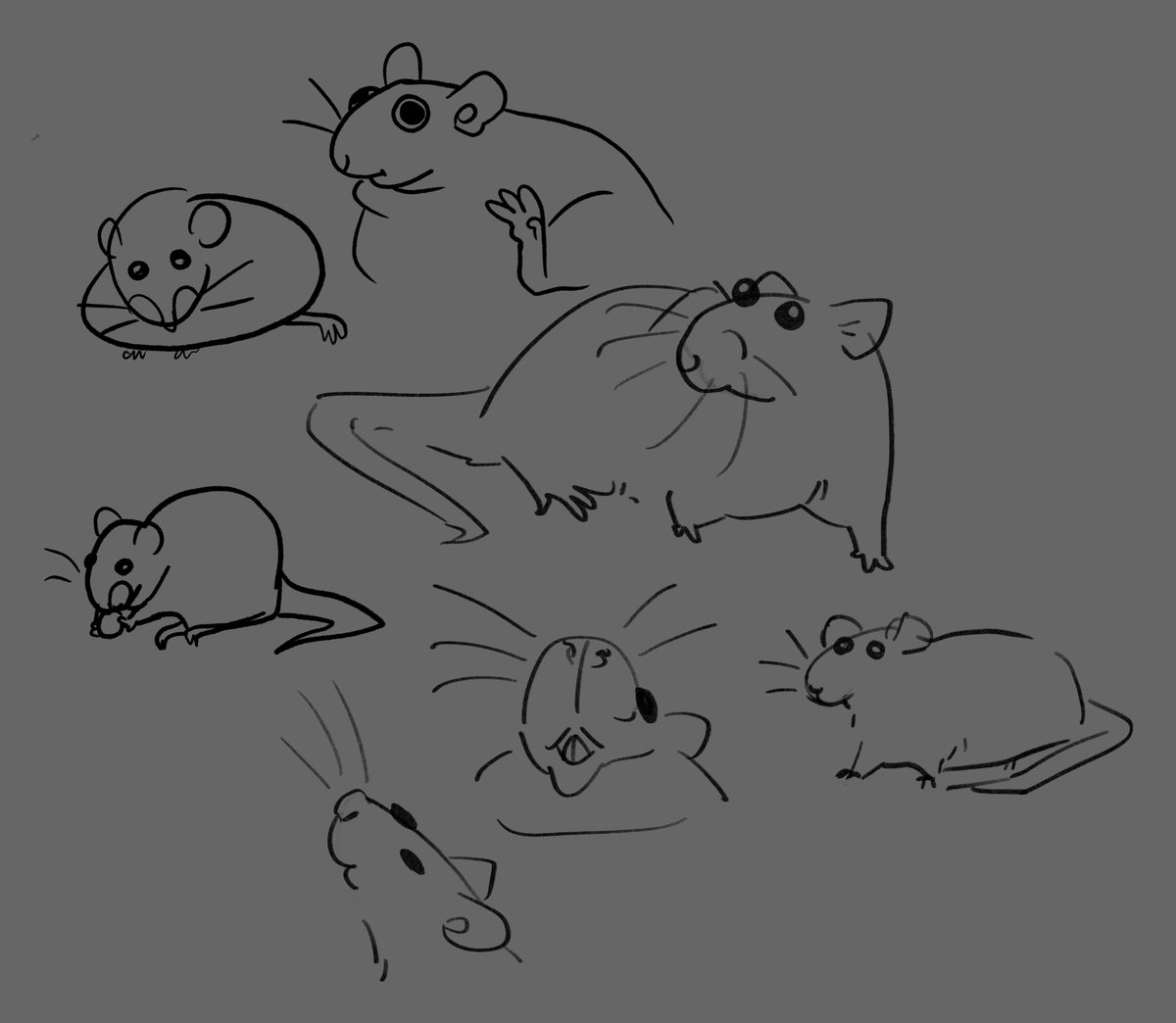 thinkin bout the way they are
