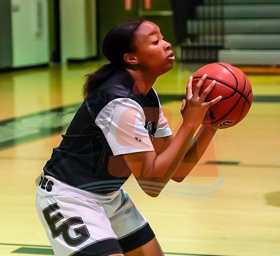 Sleeper Athletes Ladies Basketball tweet media