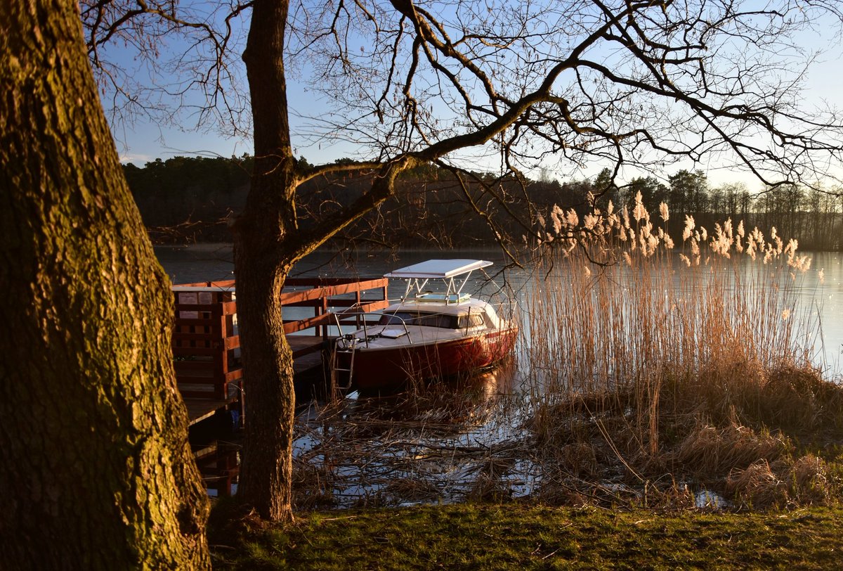 visitwarmia's tweet photo. #warmia #jezioro #limajno #swobodna #łódź #wieczór #żaglówka #trzciny #woda #wodypolskie #SzanujWode #visitwarmia #lake #boat #sailing #water #evening #eveningmagic #nofilterneeded #sunlight #instagood #picoftheday #beautiful #magicmoment #wiosna #spring https://t.co/wsdfhvbjR3