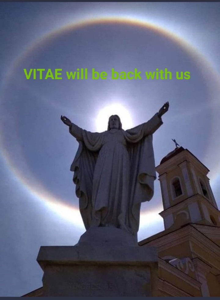 HngNguy44888488's tweet photo. Why are we fighting for Vitae?  As it brings global prosperity to mankind, open the Vitae website and experience it and then draw accurate conclusions. @Europol @FoxNews @jior4justice @EUCourtPress @alexanderdecroo @FOD_Justitie @HansVandeWal1 @WeAreVitae https://t.co/GGzJZcYh9f