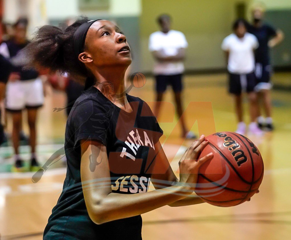 Sleeper Athletes Ladies Basketball tweet media