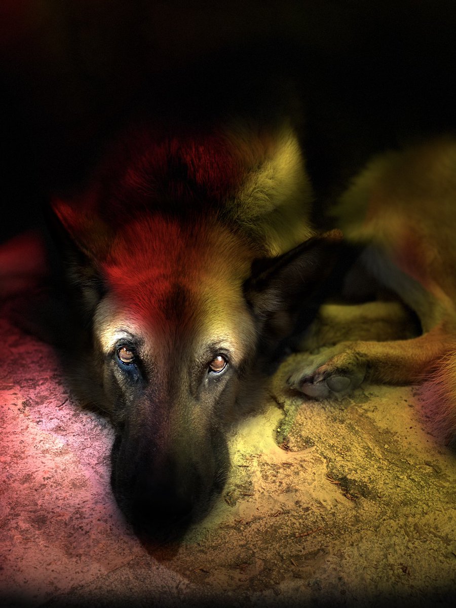 Apollo_illum's tweet photo. #rendering #relighting #ios #iosapp #appstore #portraitmode https://t.co/9oXFhp3mq1
