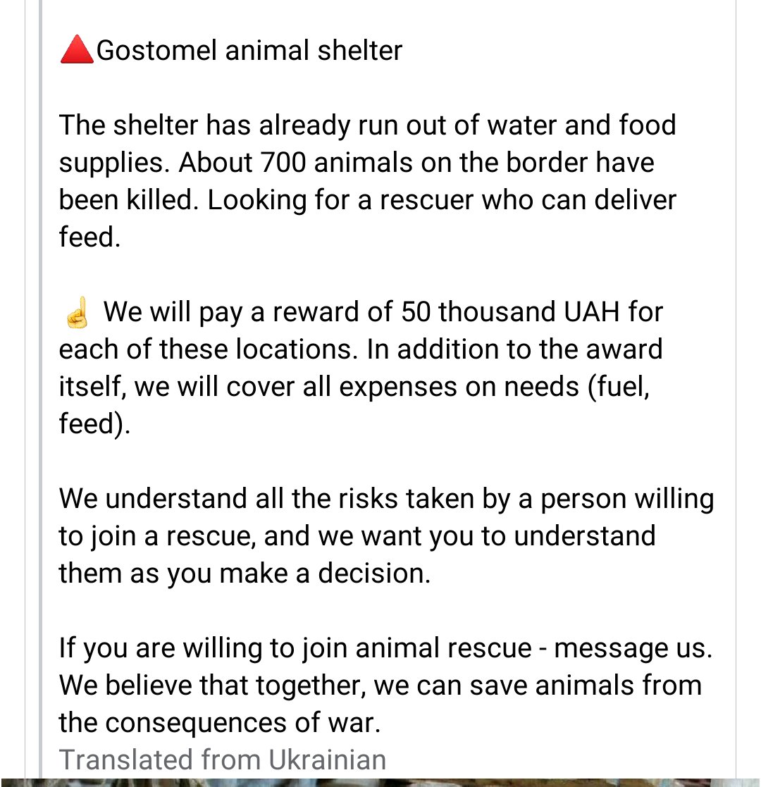 kaylamarie413's tweet photo. Shelters in #Ukraine need help. They need volunteers to help the animals. They can be reached on facebook. If anyone can volunteer for any of these shelters please let me know and I can relay the message. #UkraineAnimals #SOS #HELP #getoutrussia https://t.co/E4N7qTfdHk
